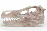 Carved, Banded Fluorite Dinosaur Skull #218479-1